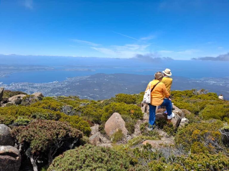 Hobart Highlights & Mount Wellington Shore Excursion - What to Expect from the Tour
