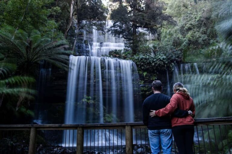 Hobart: Mt Field National Park & Wildlife Shore Excursion - The Value and Practicalities