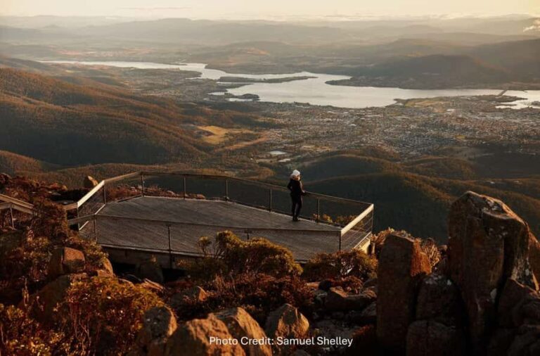 Hobart: Mt Wellington & MONA (Private Tour) - The Itinerary Breakdown