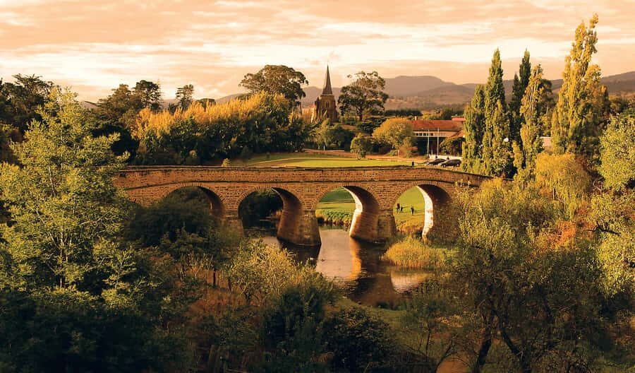 Hobart: nipaluna Half-Day Highlights Tour - What To Expect