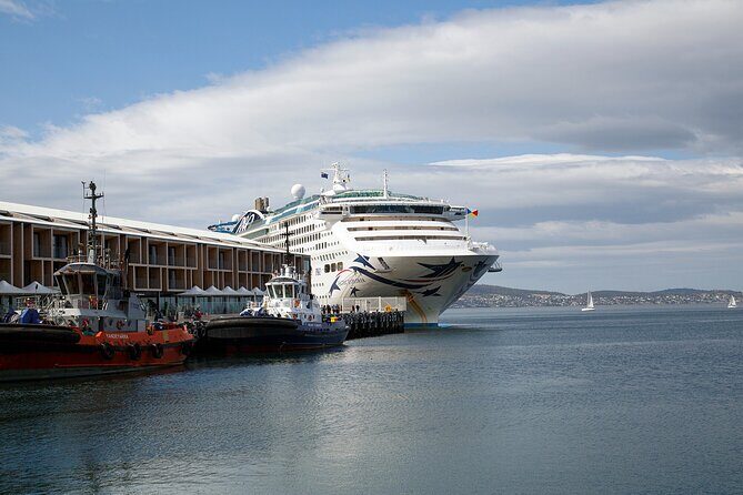 Hobart Shore Excursion: Bonorong Bus - Who Should Book This Tour?