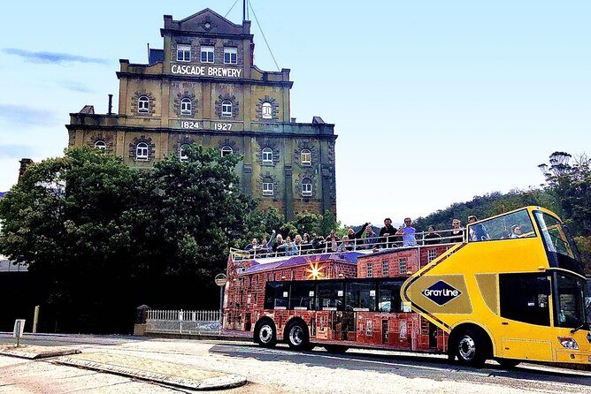 Hobart Shore Excursion- Open Top City Explorer Tour 9.30am - Practical Considerations
