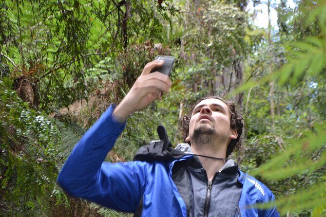 Hobart Shore Excursion Private Tour - Who Will Enjoy This Tour?