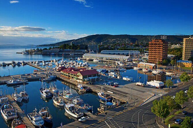 Hobart Shore Excursion: Small Group Mount Wellington 3-Hour Bike Tour - The Ride: What to Expect