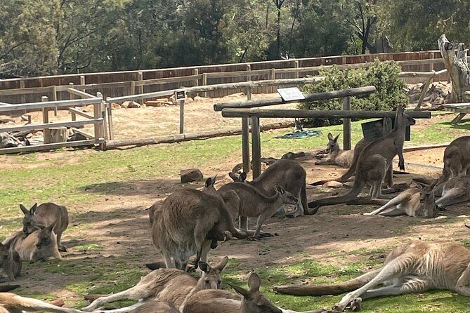 Hobart Signature Shore Excursion Small Group - What’s Included and What’s Not