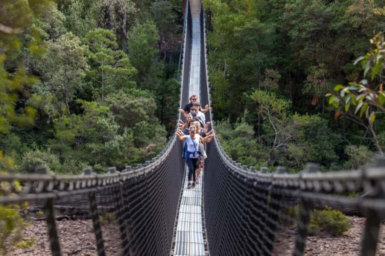 Hobart: Tahune Airwalk, Hastings Cave, Thermal Springs Tour - Practical Details and What to Expect