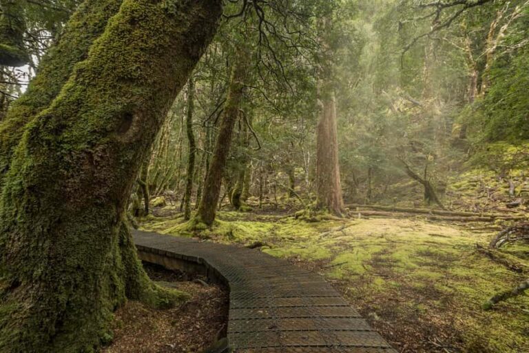 Hobart to Cradle Mountain to Launceston - An In-Depth Look at the Itinerary