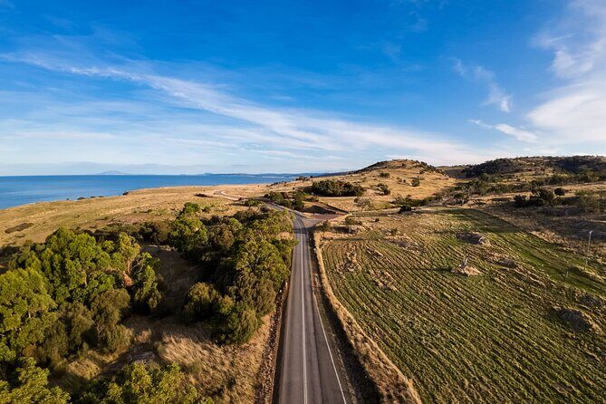 Hobart to Launceston via Wineglass Bay - Active Tour - Who This Tour Is Best For