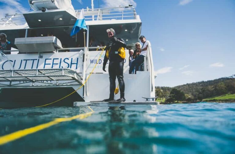 Hobart: Ultimate Seafood Cruise on a Spacious Catamaran - The Itinerary and What You’ll Experience
