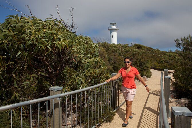 Hobart: Wineglass Bay & Freycinet National Park - Active Day Tour - Alternative Shorter Walks: Honeymoon Bay & Cape Tourville