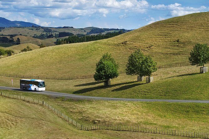 Hobbiton Day Tour from Rotorua with lunch at Hobbiton - Why This Tour Works for Different Travelers