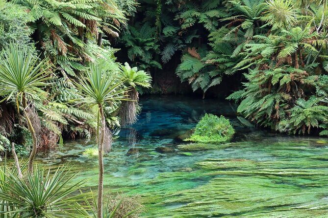Hobbiton Movie Set & Blue Springs: Private Tour from Auckland - Final Thoughts