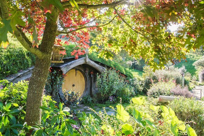Hobbiton Movie Set Small Tour from Auckland - An In-Depth Look at the Hobbiton Experience