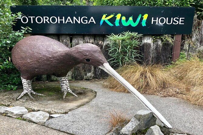 Hobbiton, Waitomo Caves and Kiwi House Day Tour From Auckland - The Practicalities of the Tour