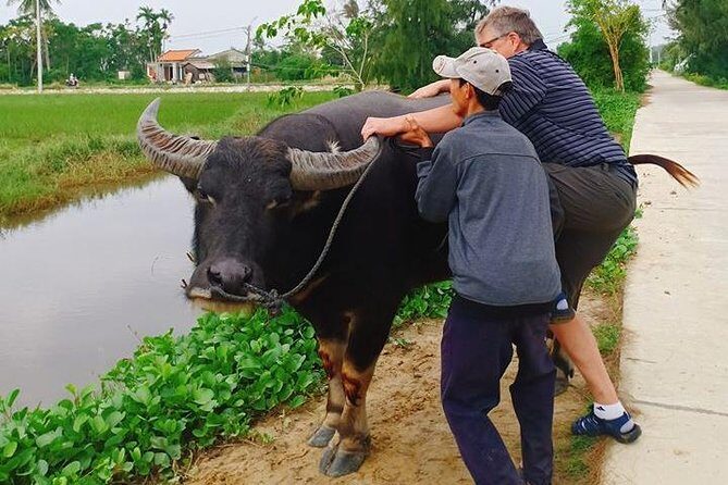 Hoi An Countryside & Cultural Gallery Ethnic Group - Private Tour - Who Should Consider This Tour?