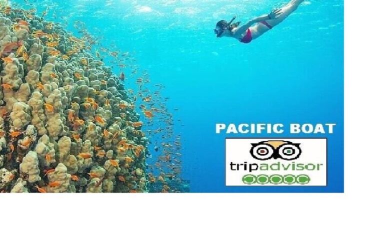 Hoi An/Da Nang: Snorkelling & Island-Hopping Speedboat Tour - The Itinerary in Detail