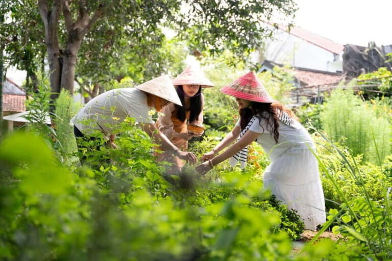 Hoi An Hidden Gem: Vietnamese Coffee Making x Local Herbal - In The Sum Up
