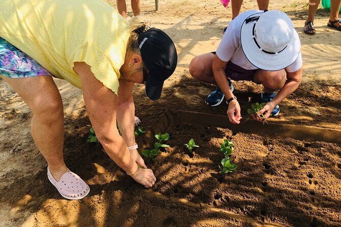 Hoi An Local Market and Vegetable Village Cooking Class - FAQs