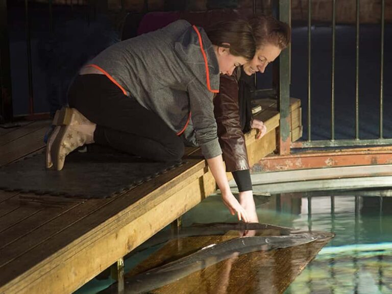 Hokitika: The National Kiwi Centre Tickets - The Experience Breakdown: What to Expect