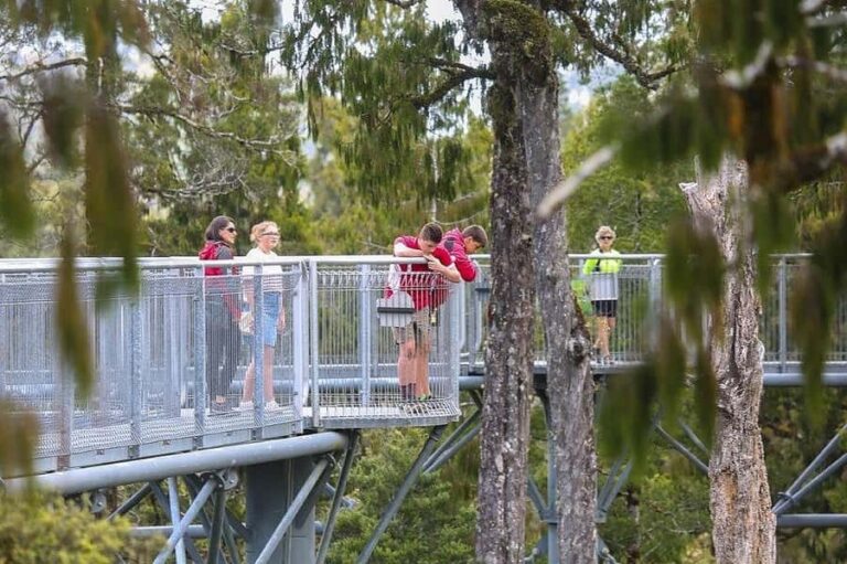Hokitika: West Coast Treetop Walkway Entrance Ticket - Who Will Love This Experience?
