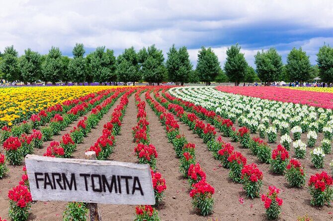 Hokkaido Day Tour Farm Tomita, Blue Pond, Blue Pond and Buffet - Analyzing the Value: Is It Worth It?