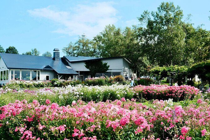 Hokkaido Day Tour Lake Toya, Hell Valley, and Mount Yotei Views - Who Will Love This Tour?