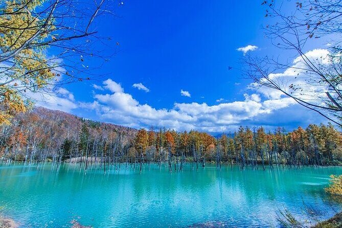 Hokkaido Day Trip From Sapporo, Asahiyama Zoo to Ningle Terrace - Final Thoughts: Is This Tour Worth It?