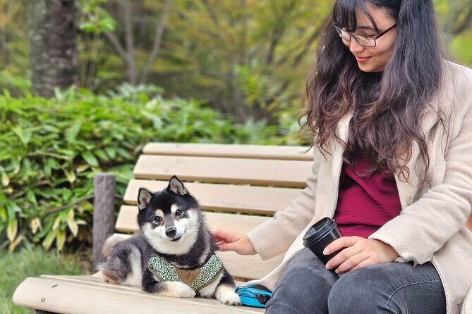 Home Cooking with a Local Host (Optional Shiba Inu Picnic) - Who Will Love This Tour?