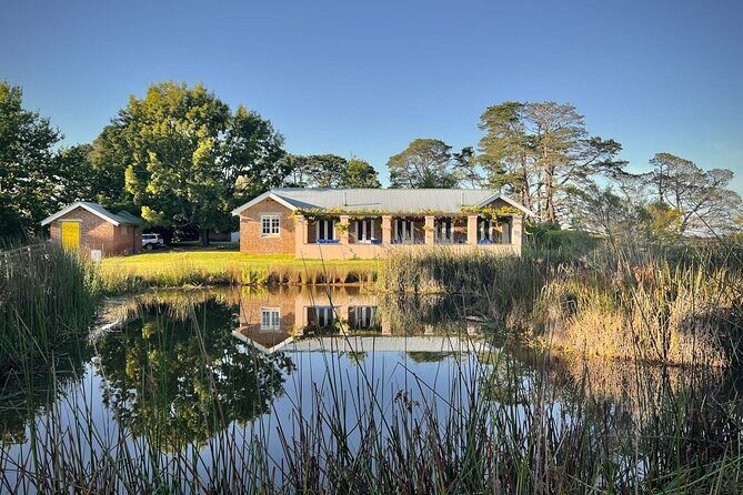 Honey Farm Tour. Morning Tea. Guided Tasting - The Sum Up