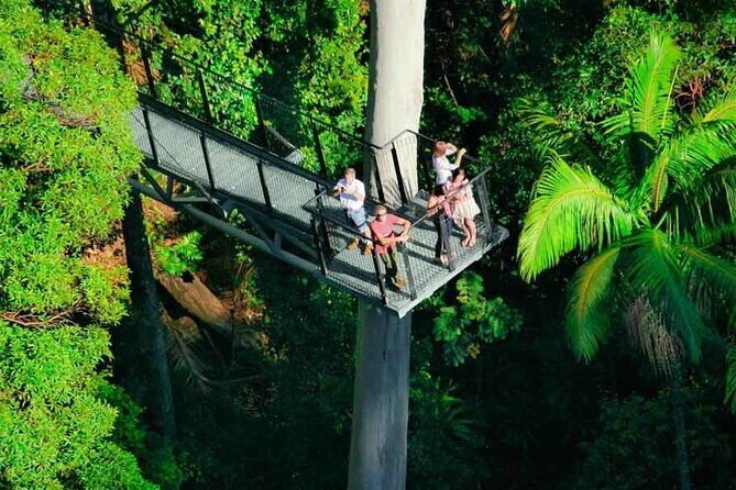 Hop on Hop off - Tamborine Rainforest Skywalk + Glow Worm Caves - The Real Experience: What Travelers Say