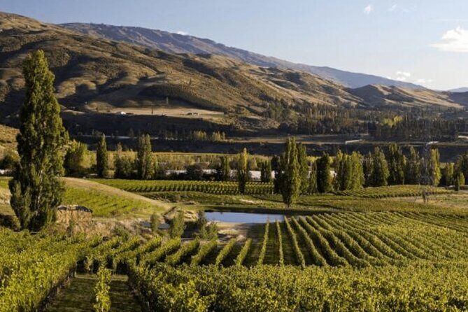 Hop on Hop off Wine Tours Bannockburn - departing Queenstown - The Itinerary: What to Expect at Each Stop