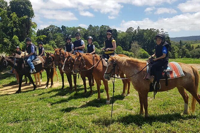 Horse and Quad bike tour with a visit to a Petting Zoo - Authentic Feedback and What It Tells Us