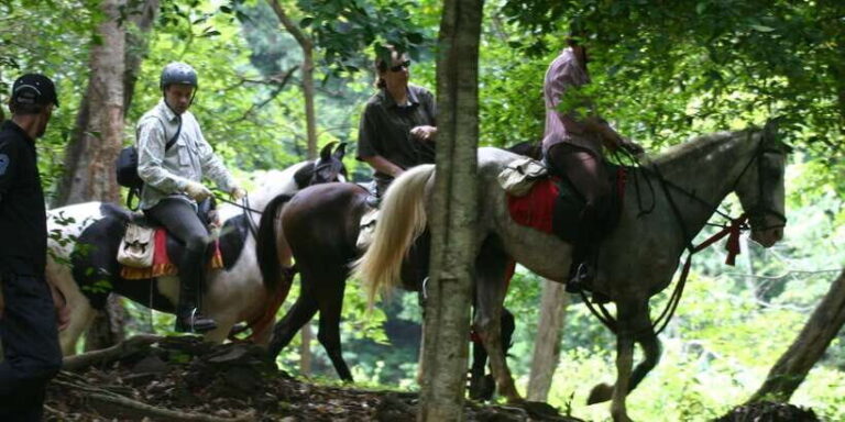 Horse Riding in Nuwara Eliya - What Makes This Tour Special