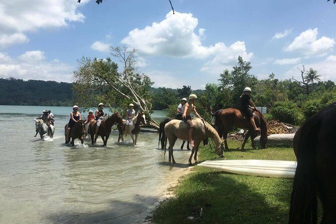 Horse Riding in Port Vila with Yumi Tours - The Sum Up: Who Will Love This Tour?