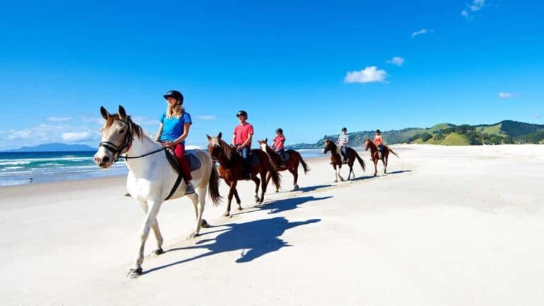 Horse Riding, Wine Tasting & Art Trail Private Tour - Who Will Love This Tour?