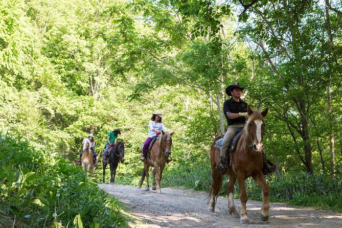 Horseback-Riding in a Country Side in Sapporo - Private Transfer is Included - Practical Details and Considerations