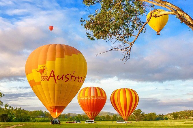 Hot Air Balloon Flight Brisbane with Vineyard Breakfast - Why This Tour Might Be Perfect for You