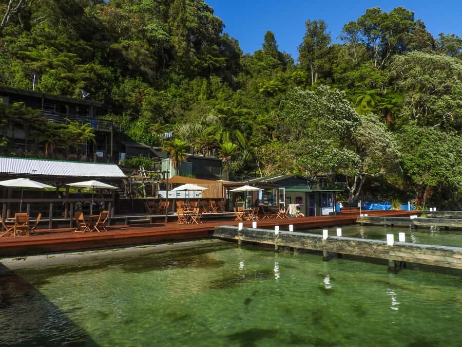 Hot Pools Kayak & Evening Barbecue - What About the Practicalities and Value?