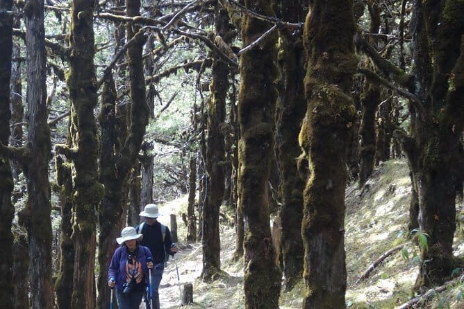 How to travel to Bhutan - The Experience of Guides and Support