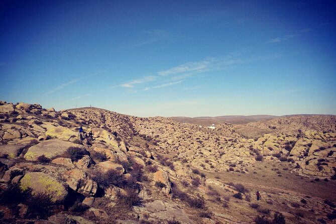 Huhhot 4D3N Inner Mongolia Grassland and desert nature tours - Why This Tour Works