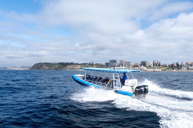 Humpback Whale Encounter Tour from Newcastle - The Whale Watching Experience