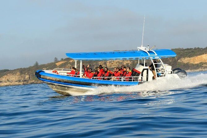 Hunter Coastal Adventure Tour by Boat from Newcastle - Who Will Love This Tour?