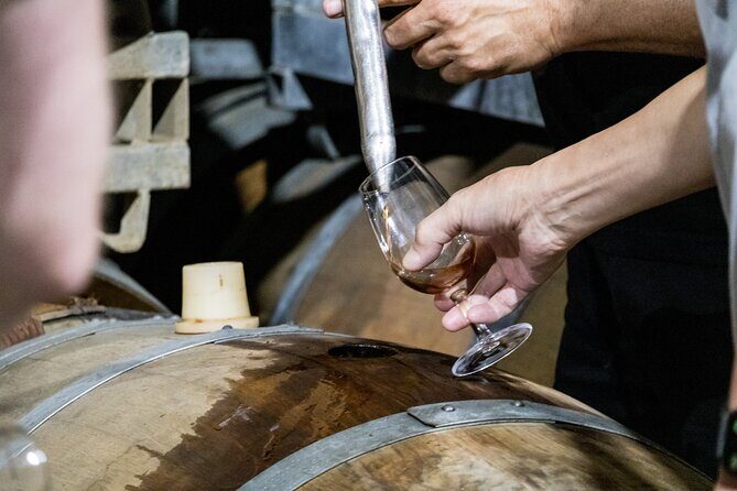 Hunter Valley All Inclusive, Wine, Chocolate Tasting and Lunch - What You Can Expect from This Tour