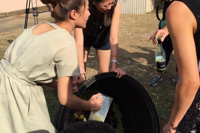Hunter Valley Grape Stomping - What Travelers Say
