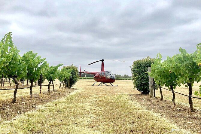 Hunter Valley Helicopter Tour with a Bubbly Breakfast - How the Tour Comes Together