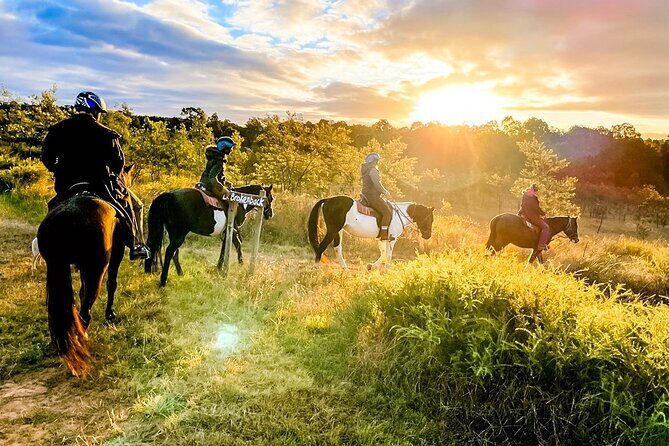 Hunter Valley Sunset Horse Ride - 90 Minutes - What You Can Expect from the Sunset Horse Ride