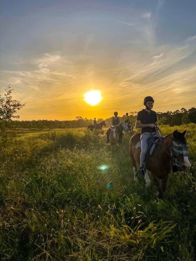 Hunter Valley: Sunset Horse Riding Tour 90min - Analyzing the Value