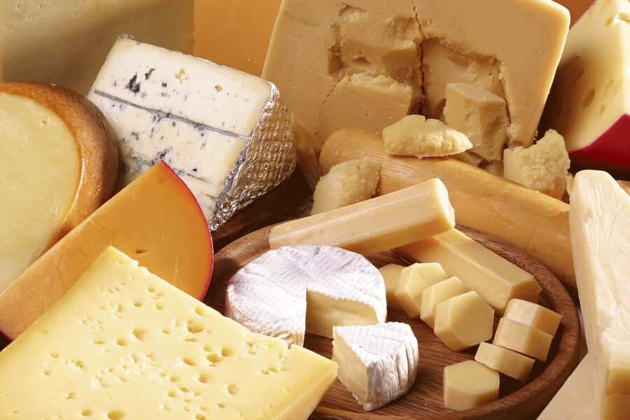 Hunter Valley Wine & Cheese Tasting Tour from Sydney - The Experience: What You Can Expect