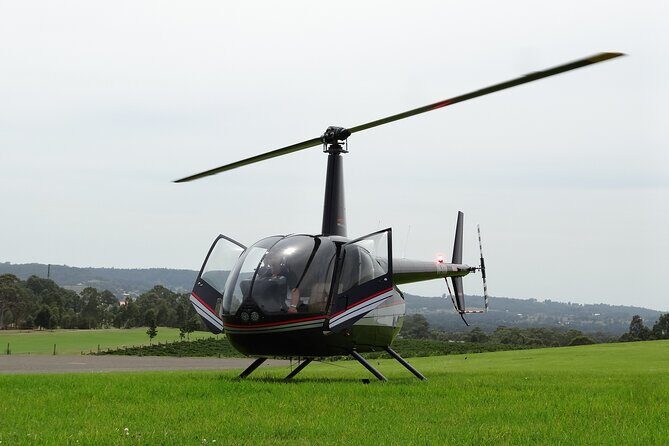 Hunter Valley Wine Country Helicopter Flight from Cessnock - Who Is This Tour Best For?