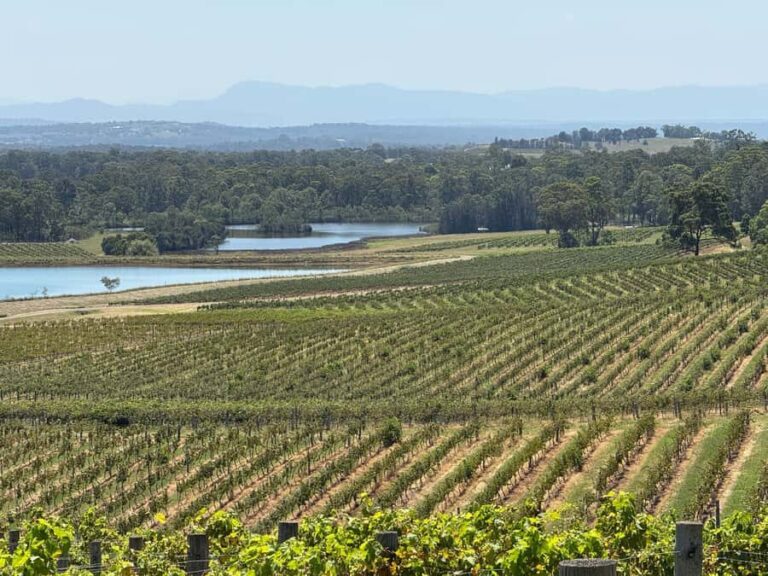 Hunter Valley Wine Tasting | Private Day Tour | From Sydney - The Experience from Reviews